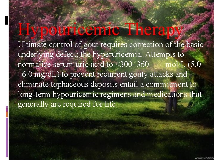 Hypouricemic Therapy Ultimate control of gout requires correction of the basic underlying defect: the