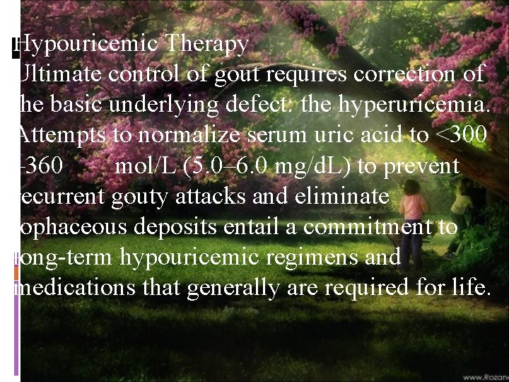 Hypouricemic Therapy Ultimate control of gout requires correction of the basic underlying defect: the