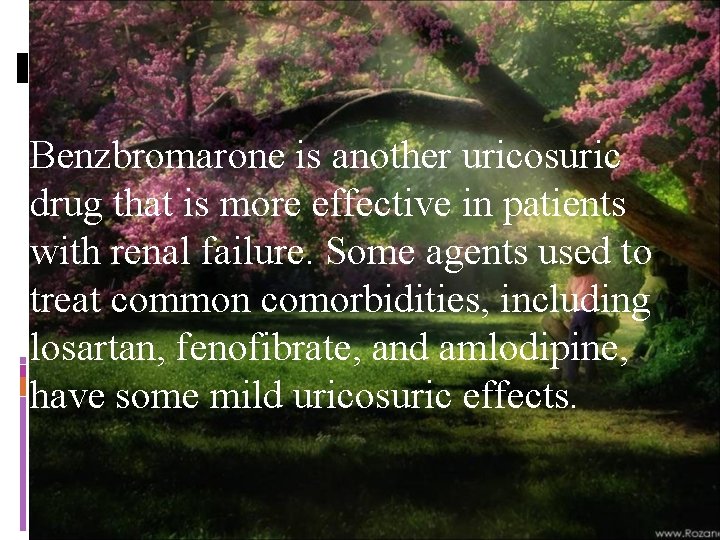 Benzbromarone is another uricosuric drug that is more effective in patients with renal failure.