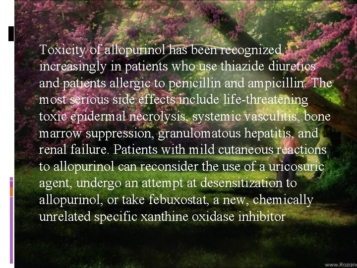 Toxicity of allopurinol has been recognized increasingly in patients who use thiazide diuretics and