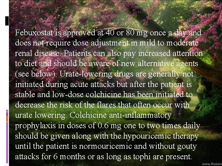 Febuxostat is approved at 40 or 80 mg once a day and does not