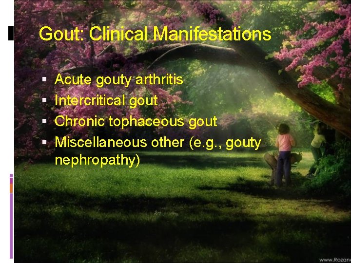Gout: Clinical Manifestations Acute gouty arthritis Intercritical gout Chronic tophaceous gout Miscellaneous other (e.