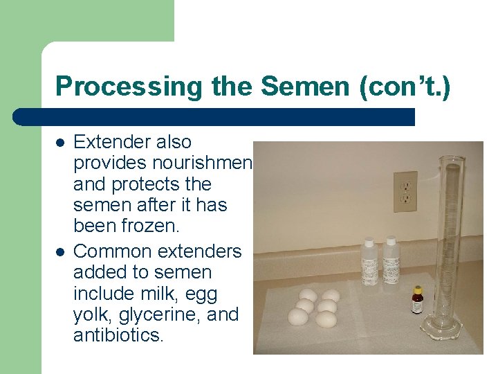 Artificial Insemination in Cattle By Valerie D Blair