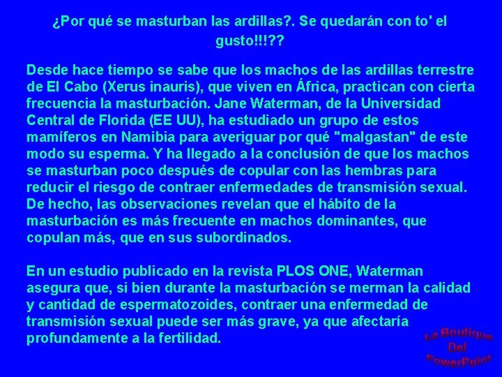 ¿Por qué se masturban las ardillas? . Se quedarán con to' el gusto!!!? ?