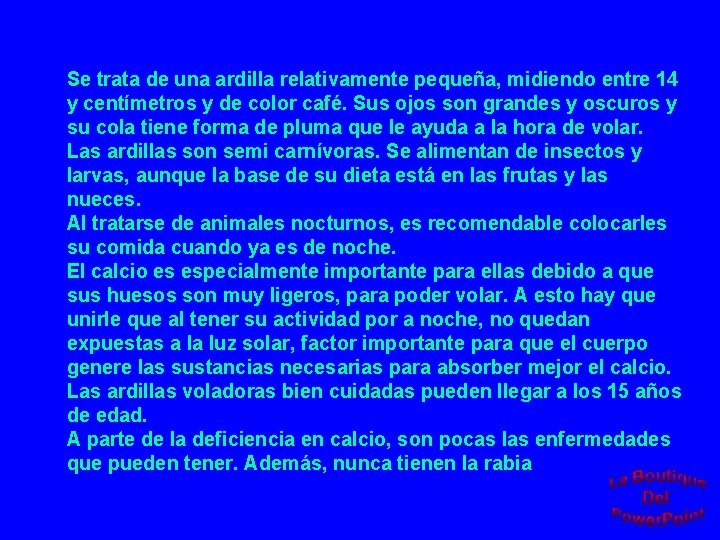 Se trata de una ardilla relativamente pequeña, midiendo entre 14 y centímetros y de
