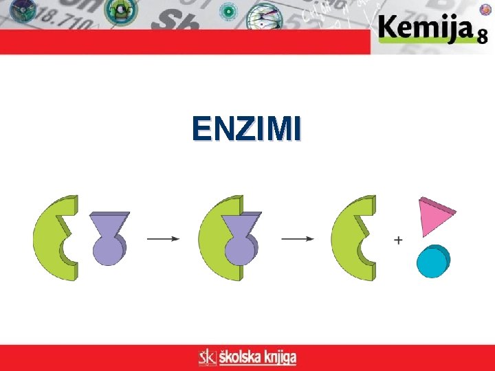 ENZIMI 