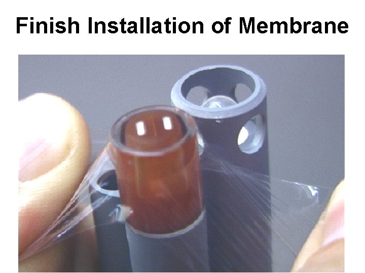 Finish Installation of Membrane 