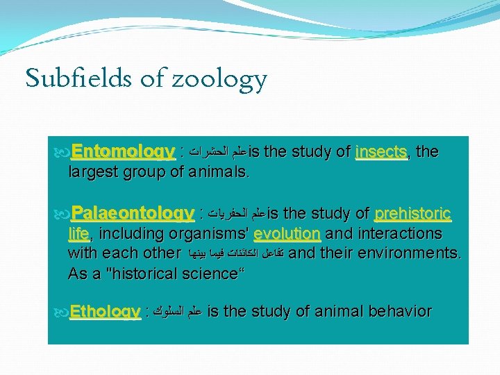 Subfields of zoology Entomology : ﻋﻠﻢ ﺍﻟﺤﺸﺮﺍﺕ is the study of insects, the largest