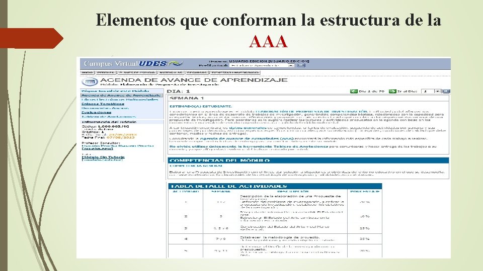 Elementos que conforman la estructura de la AAA 