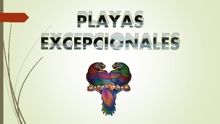 PLAYAS EXCEPCIONALES 