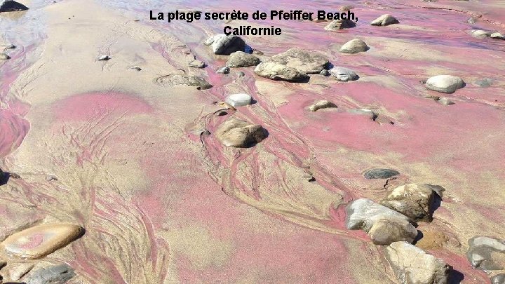  La plage secrète de Pfeiffer Beach, Californie 