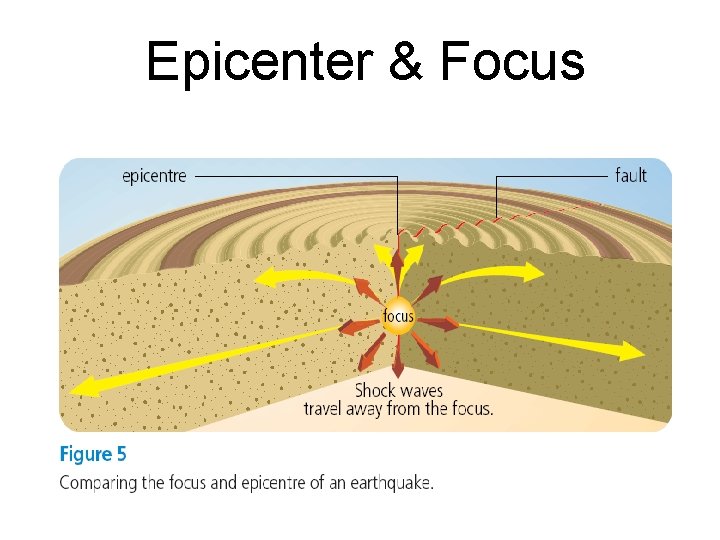 Epicenter & Focus 