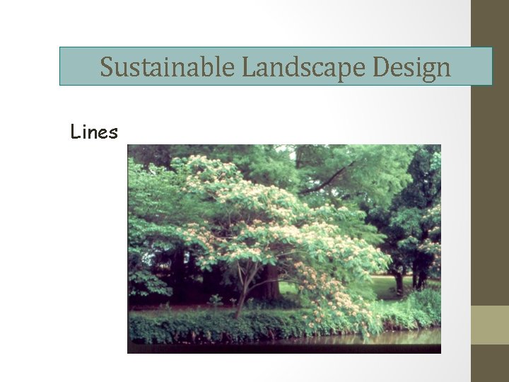 Sustainable Landscape Design Lines 