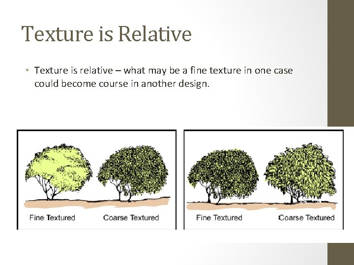 Texture is Relative • Texture is relative – what may be a fine texture