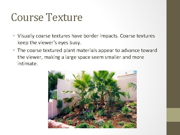 Course Texture • Visually coarse textures have border impacts. Coarse textures keep the viewer’s