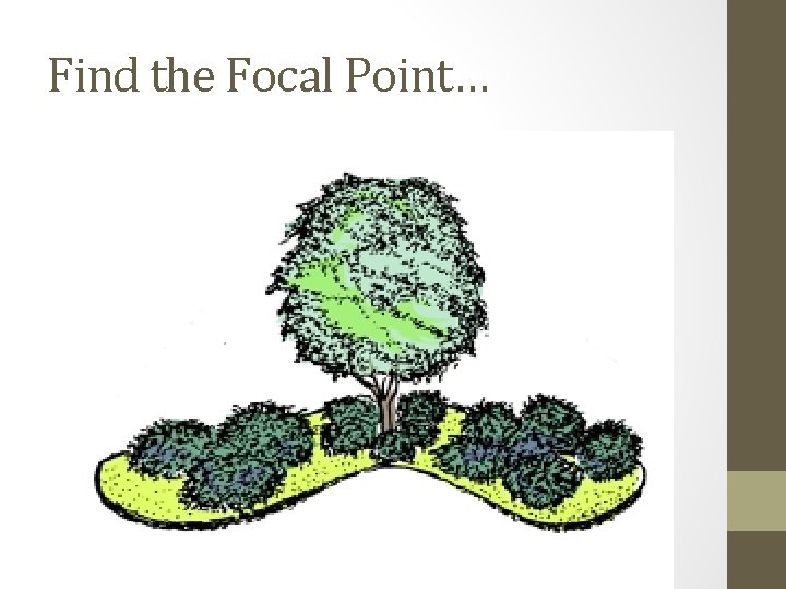 Find the Focal Point… 