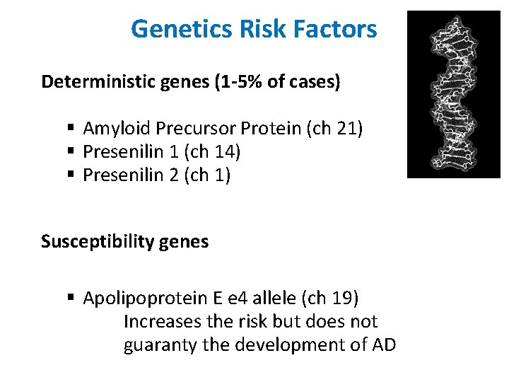 Genetics Risk Factors Deterministic genes (1 -5% of cases) § Amyloid Precursor Protein (ch
