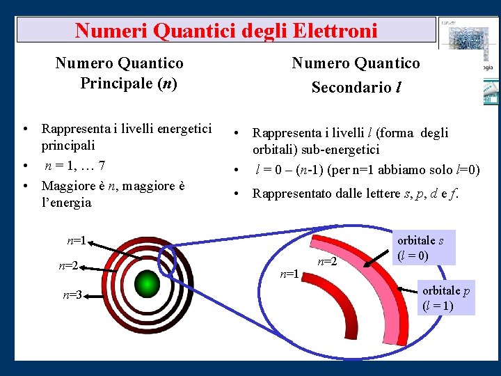 Numeri Quantici degli Elettroni Numero Quantico Principale (n) Numero Quantico Secondario l • Rappresenta