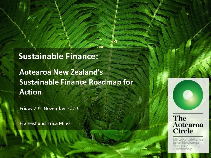 Sustainable Finance: Aotearoa New Zealand’s Sustainable Finance Roadmap for Action Friday 20 th November