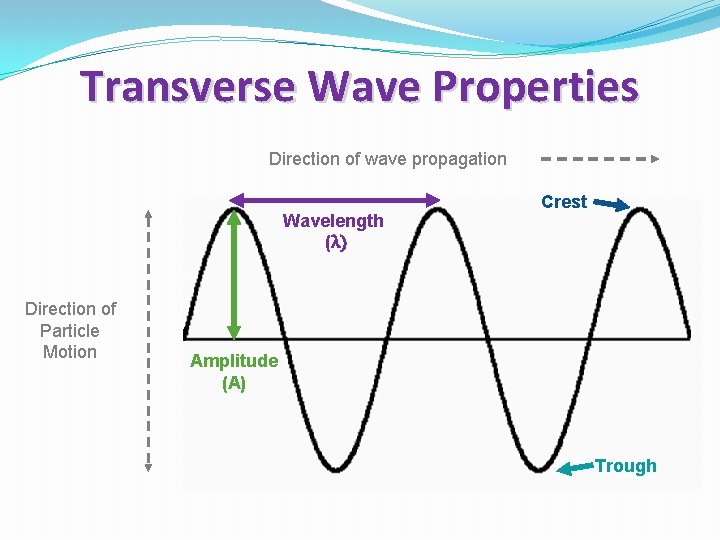 Transverse Wave Properties Direction of wave propagation Wavelength (λ) Direction of Particle Motion Crest