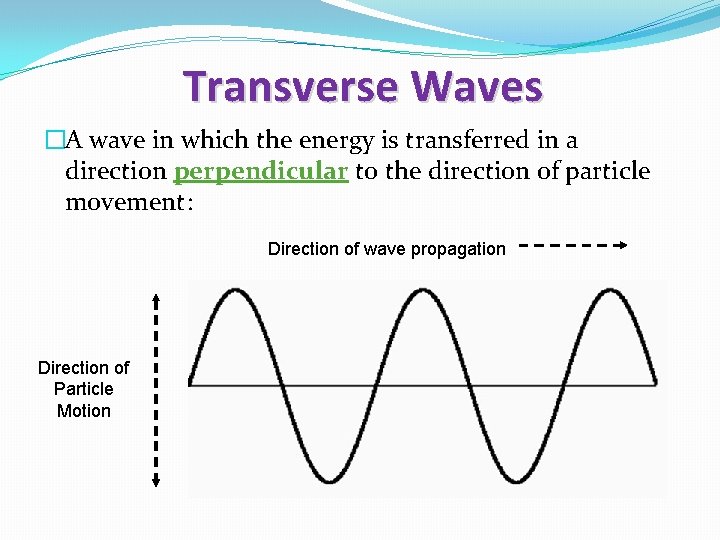 Transverse Waves �A wave in which the energy is transferred in a direction perpendicular