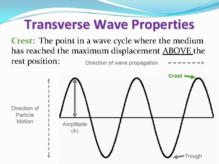 Transverse Wave Properties Crest: The point in a wave cycle where the medium has