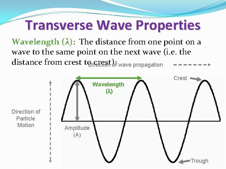 Transverse Wave Properties Wavelength (λ): The distance from one point on a wave to