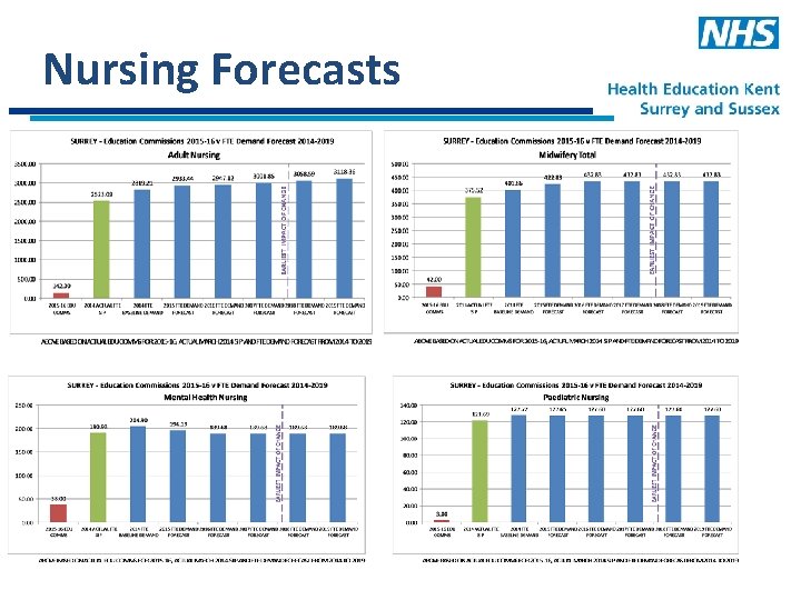 Nursing Forecasts 
