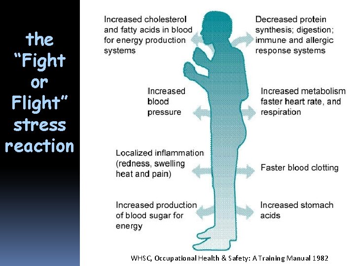 the “Fight or Flight” stress reaction WHSC, Occupational Health & Safety: A Training Manual