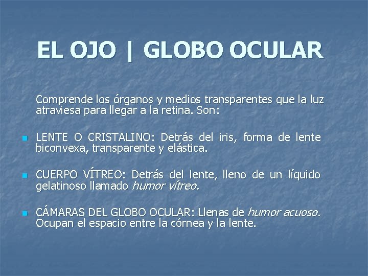 EL OJO | GLOBO OCULAR Comprende los órganos y medios transparentes que la luz