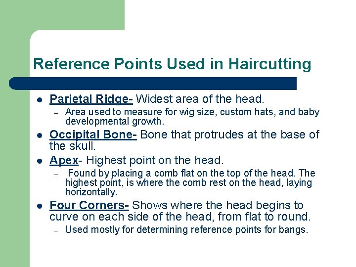 Reference Points Used in Haircutting l Parietal Ridge- Widest area of the head. – Reference Points Used in Haircutting l Parietal Ridge- Widest area of the head. –