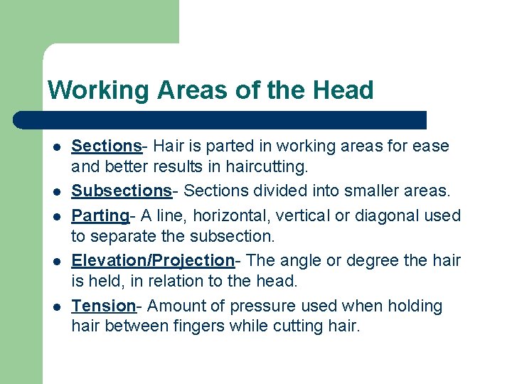 Working Areas of the Head l l l Sections- Hair is parted in working Working Areas of the Head l l l Sections- Hair is parted in working
