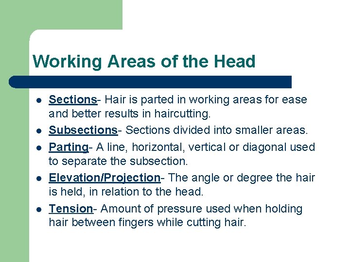 Working Areas of the Head l l l Sections- Hair is parted in working