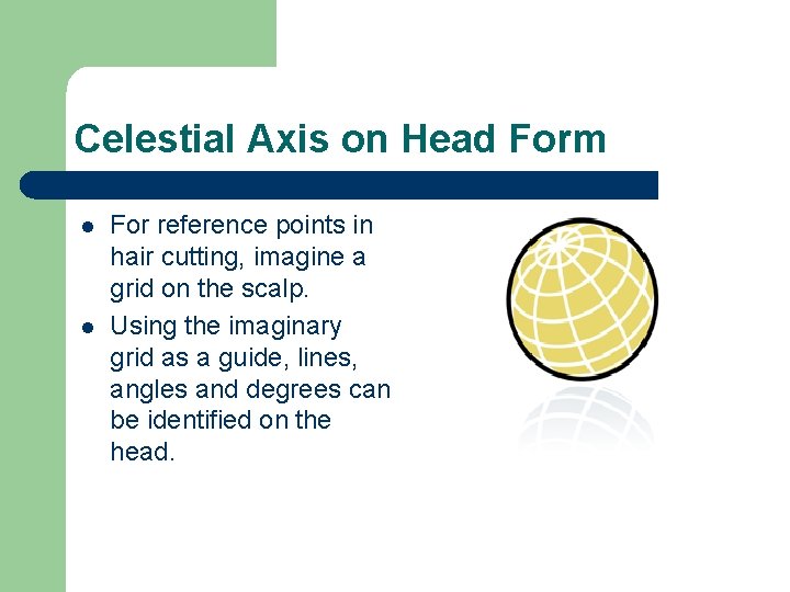 Celestial Axis on Head Form l l For reference points in hair cutting, imagine Celestial Axis on Head Form l l For reference points in hair cutting, imagine
