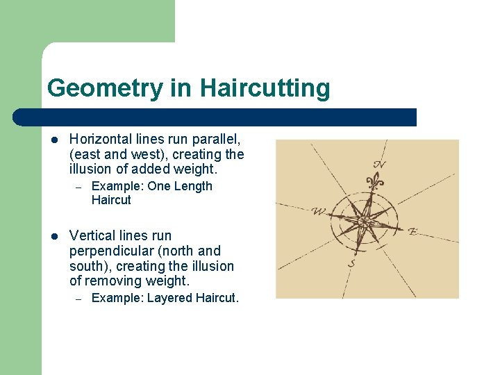Geometry in Haircutting l Horizontal lines run parallel, (east and west), creating the illusion Geometry in Haircutting l Horizontal lines run parallel, (east and west), creating the illusion