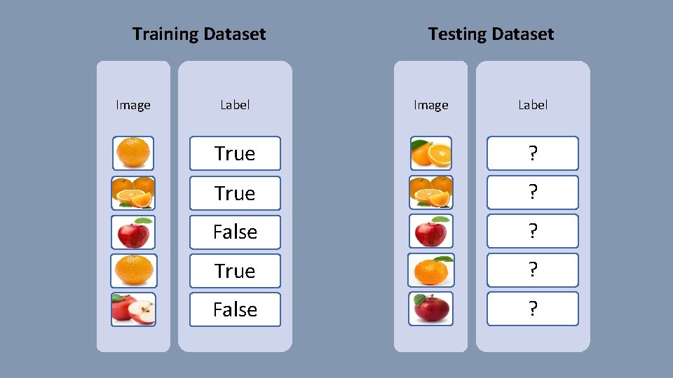Training Dataset Image Label Testing Dataset Image Label True ? False ? 