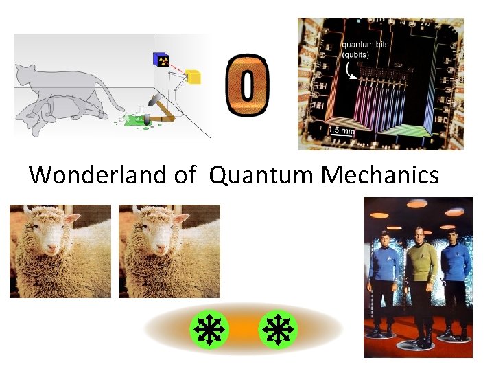 Wonderland of Quantum Mechanics 