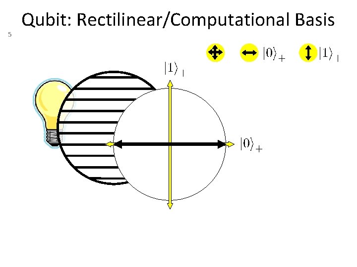 5 Qubit: Rectilinear/Computational Basis 