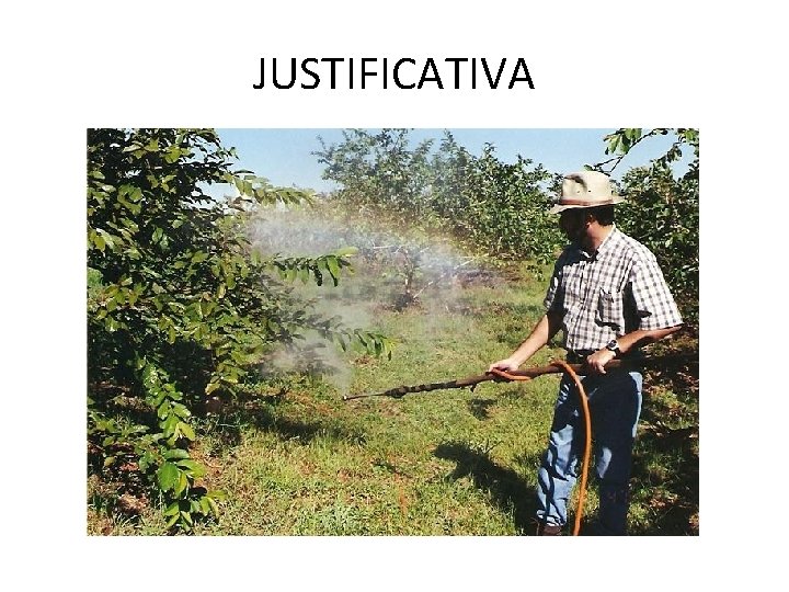 JUSTIFICATIVA 