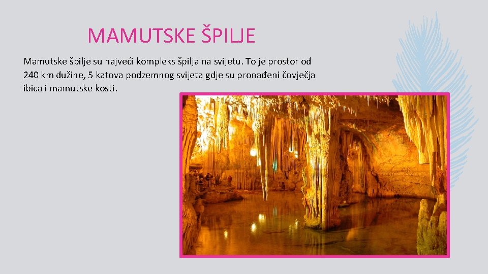 MAMUTSKE ŠPILJE Mamutske špilje su najveći kompleks špilja na svijetu. To je prostor od