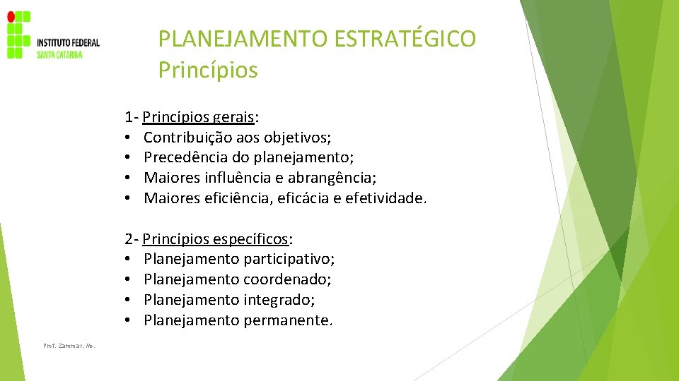 PLANEJAMENTO ESTRATÉGICO Princípios 1 - Princípios gerais: • Contribuição aos objetivos; • Precedência do