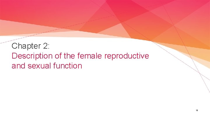 Chapter 2: Description of the female reproductive and sexual function 19 