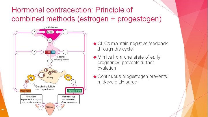 Hormonal contraception: Principle of combined methods (estrogen + progestogen) CHCs maintain negative feedback through