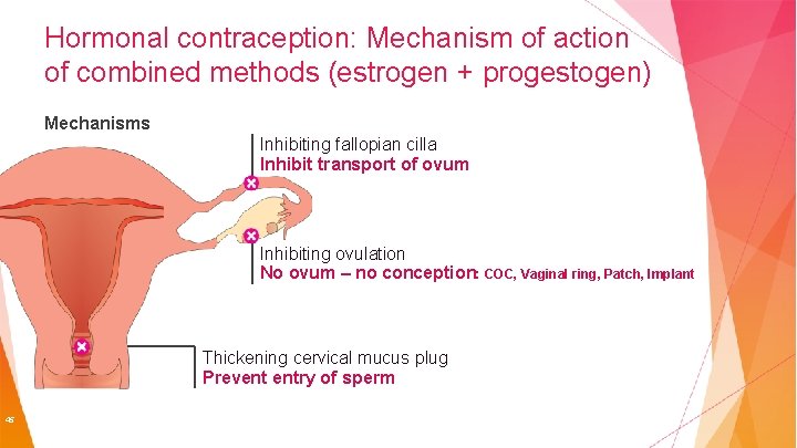 Hormonal contraception: Mechanism of action of combined methods (estrogen + progestogen) Mechanisms Inhibiting fallopian