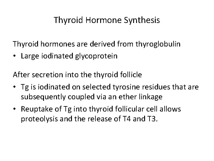 Thyroid Hormone Synthesis Thyroid hormones are derived from thyroglobulin • Large iodinated glycoprotein After