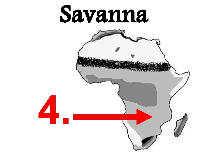 Savanna 4. 