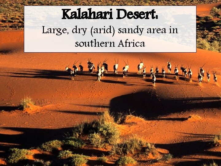 Kalahari Desert: Large, dry (arid) sandy area in southern Africa 