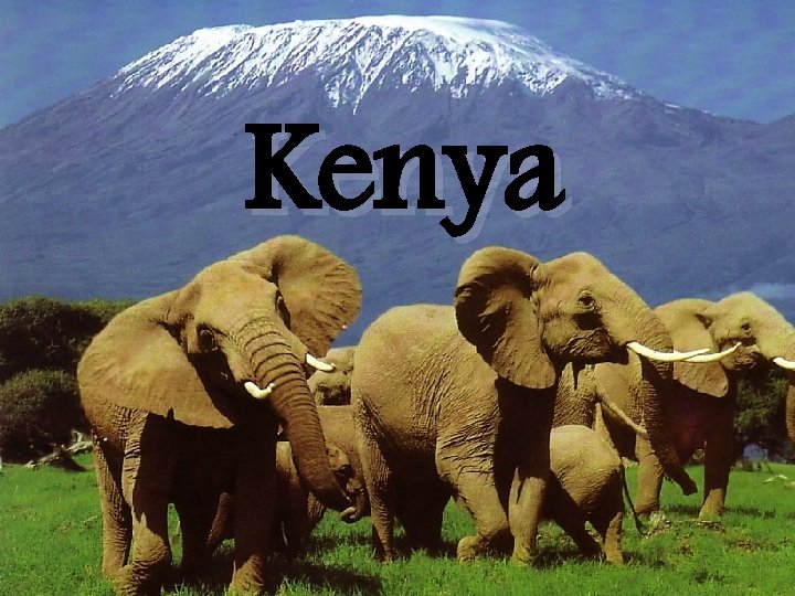 Kenya 