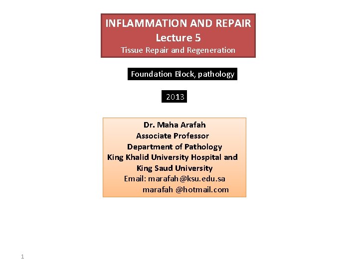 INFLAMMATION AND REPAIR Lecture 5 Tissue Repair and Regeneration Foundation Block, pathology 2013 Dr.