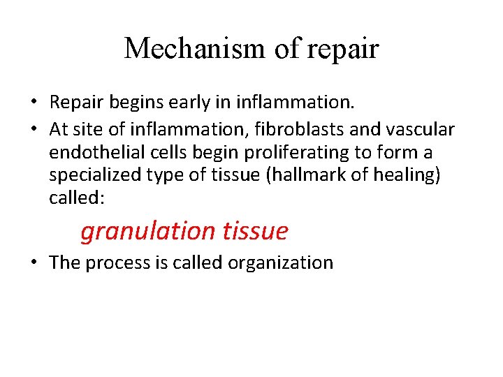 Mechanism of repair • Repair begins early in inflammation. • At site of inflammation,